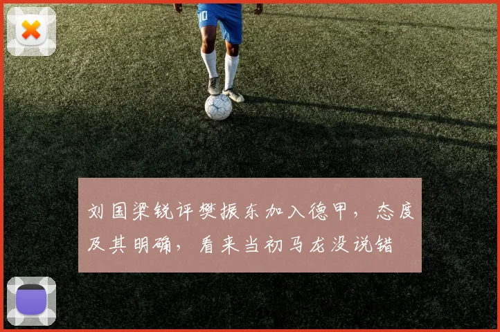 刘国梁锐评樊振东加入德甲，态度及其明确，看来当初马龙没说错